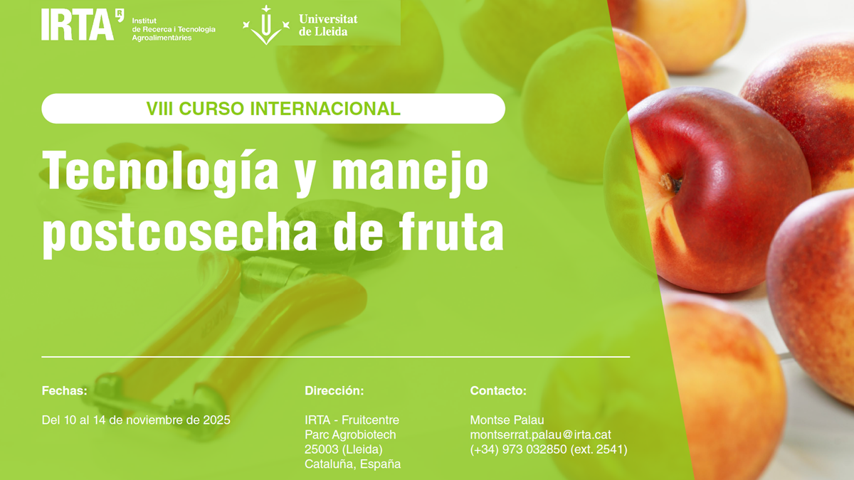 Curso Irta 2025.png